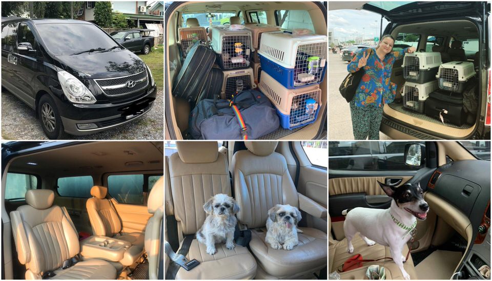 Relo4Paws pet taxi service