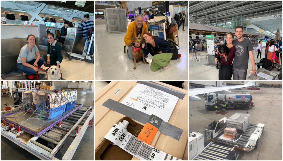 Relo4Paws export handling services